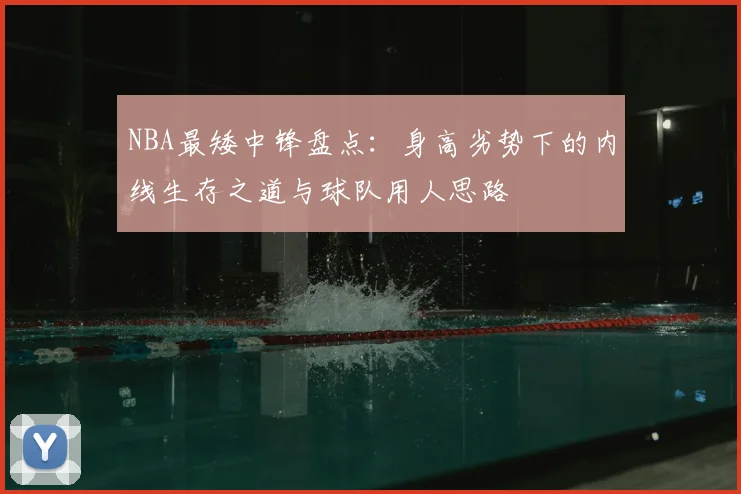 NBA最矮中锋盘点：身高劣势下的内线生存之道与球队用人思路