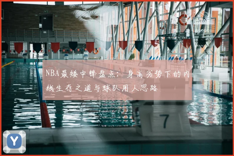 NBA最矮中锋盘点：身高劣势下的内线生存之道与球队用人思路